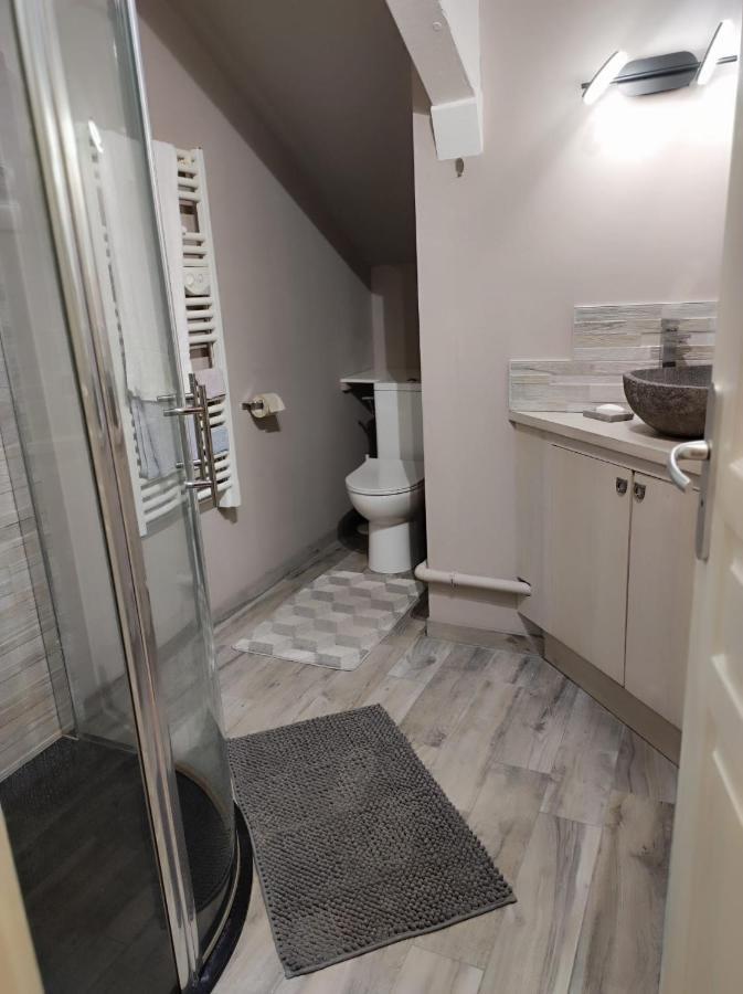 Location T2 Proche Annecy Appartement Meythet Buitenkant foto